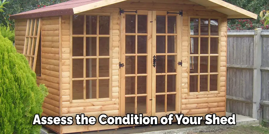 Assess the Condition of Your Shed