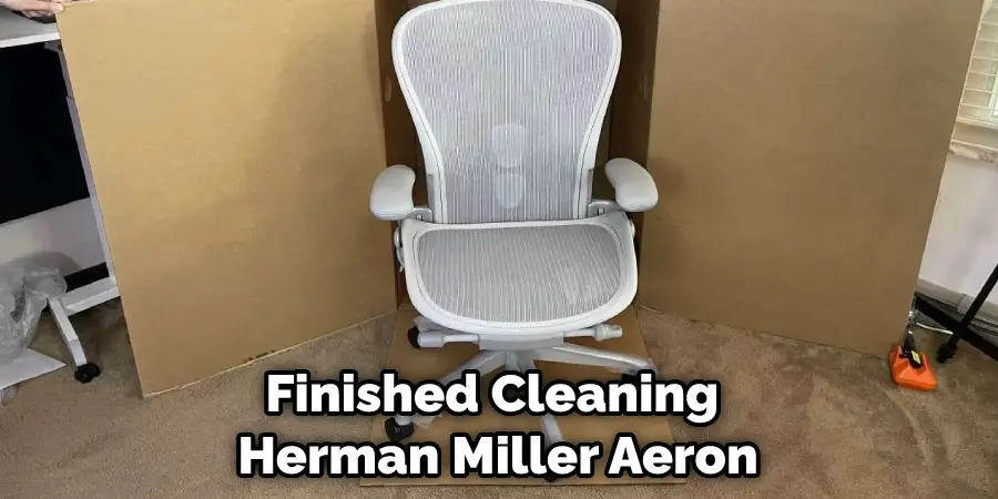 Finished Cleaning  Herman Miller Aeron