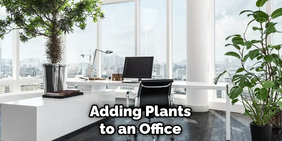 Adding Plants to an Office