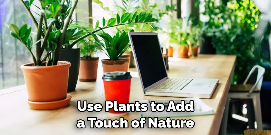 Use Plants to Add a Touch of Nature