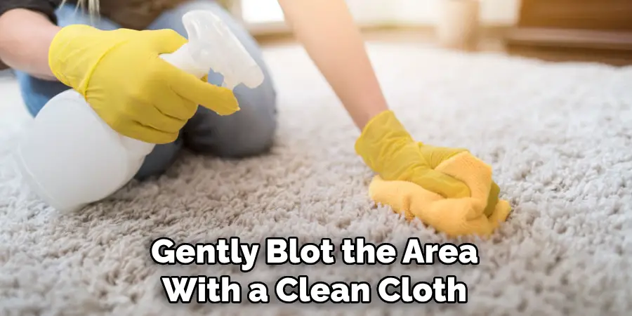 Gently Blot the Area With a Clean Cloth