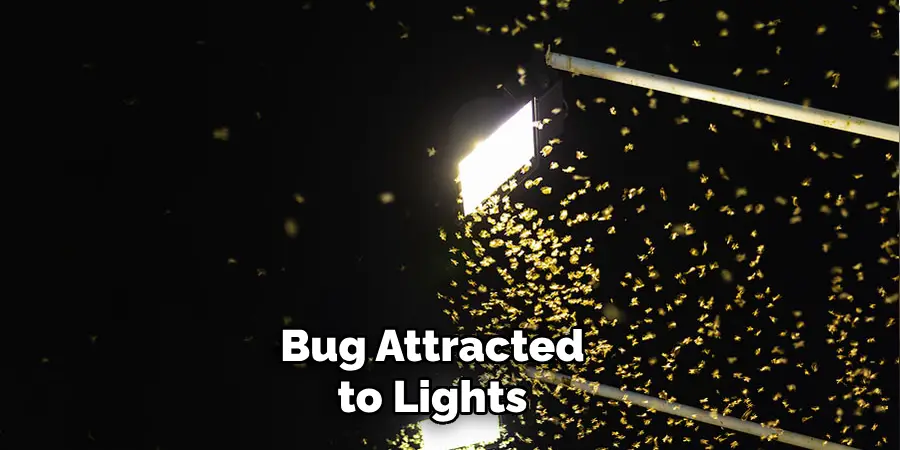 Bug Attracted to Lights