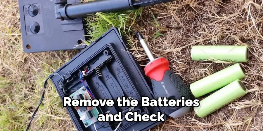 Remove the Batteries and Check