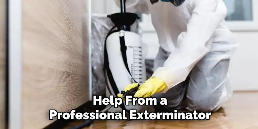 Help From a
Professional Exterminator