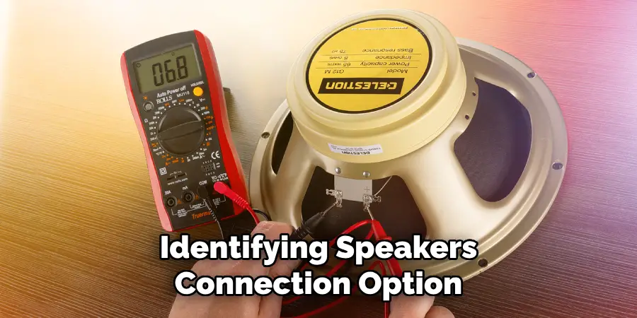 Identifying Speakers
Connection Option