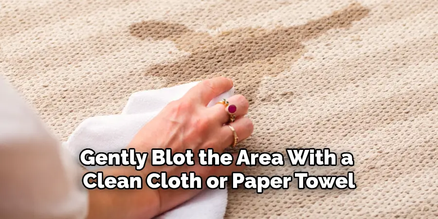 Gently Blot the Area With a 
Clean Cloth or Paper Towel