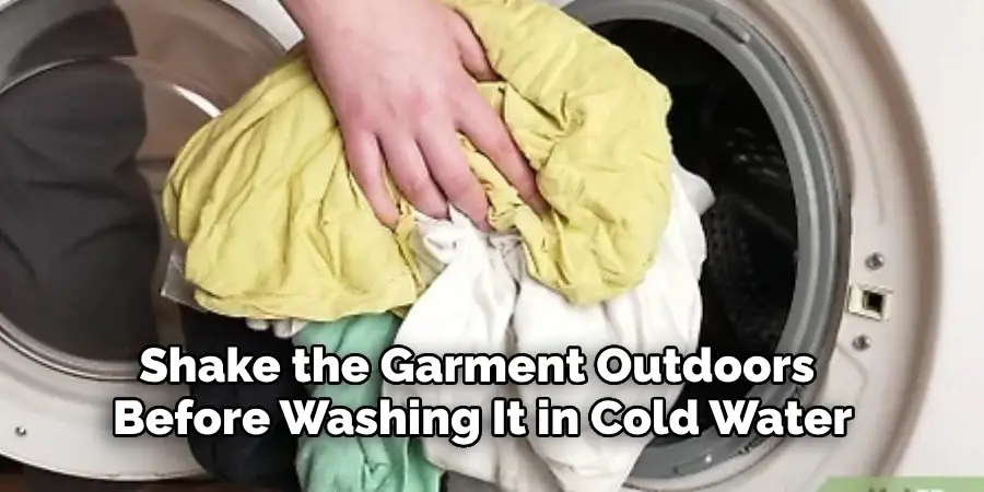 Shake the Garment Outdoors 
Before Washing It in Cold Water