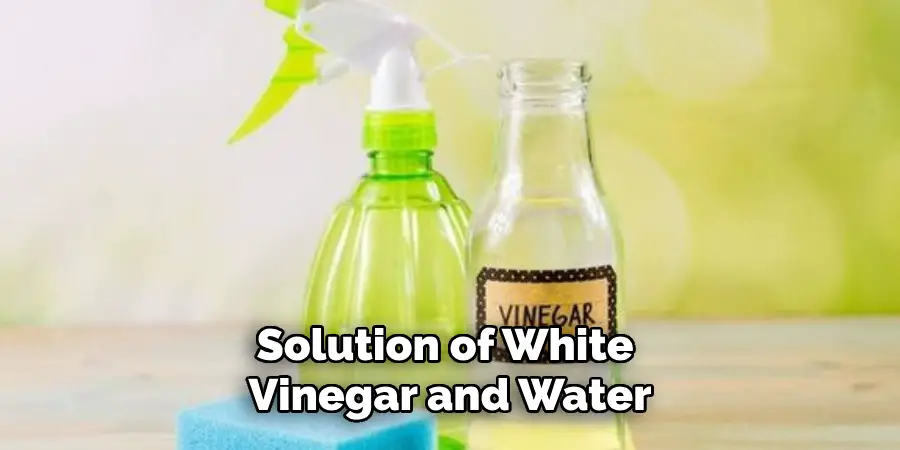 Solution of White Vinegar and Water