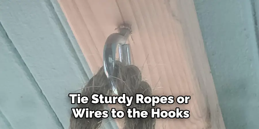 Tie Sturdy Ropes or Wires to the Hooks