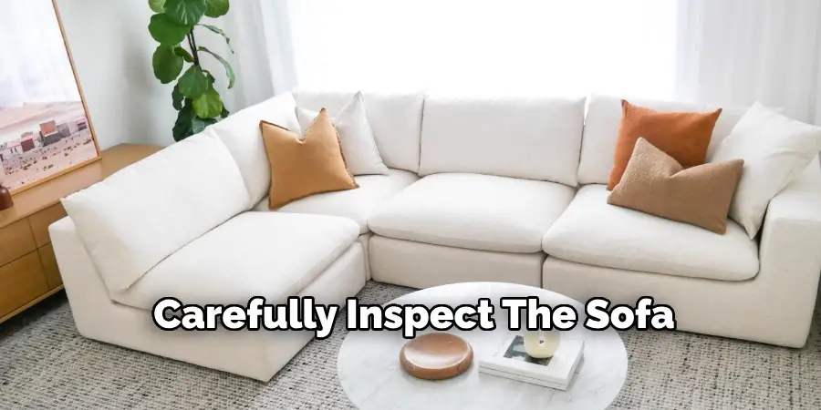 Carefully Inspect The Sofa