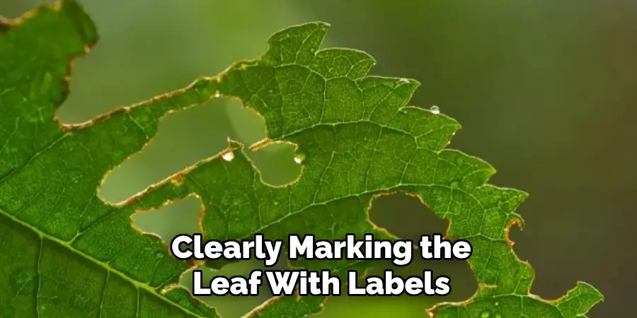 Clearly Marking the Leaf With Labels