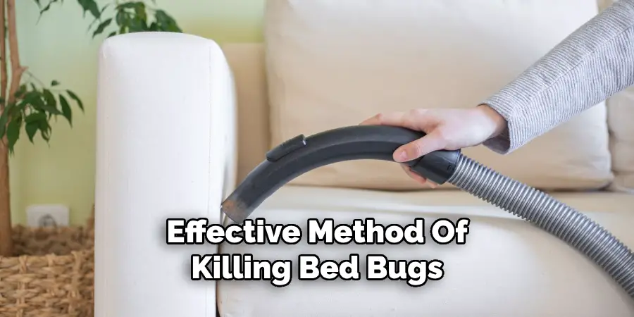 Effective Method Of
Killing Bed Bugs
