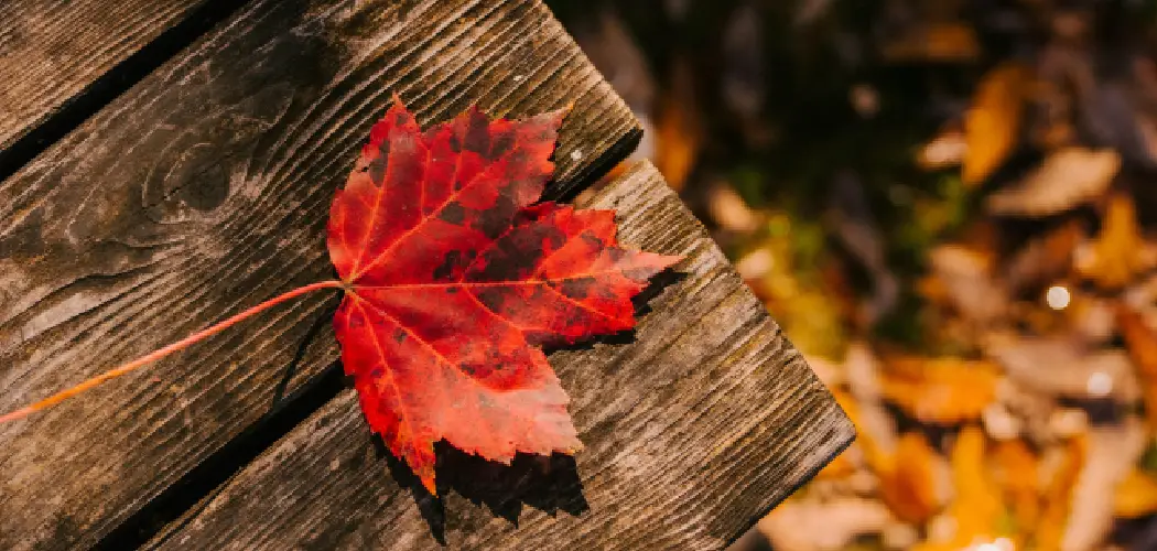 How to Store a Table Leaf