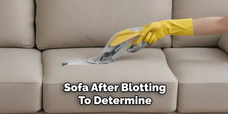 Sofa After Blotting To Determine