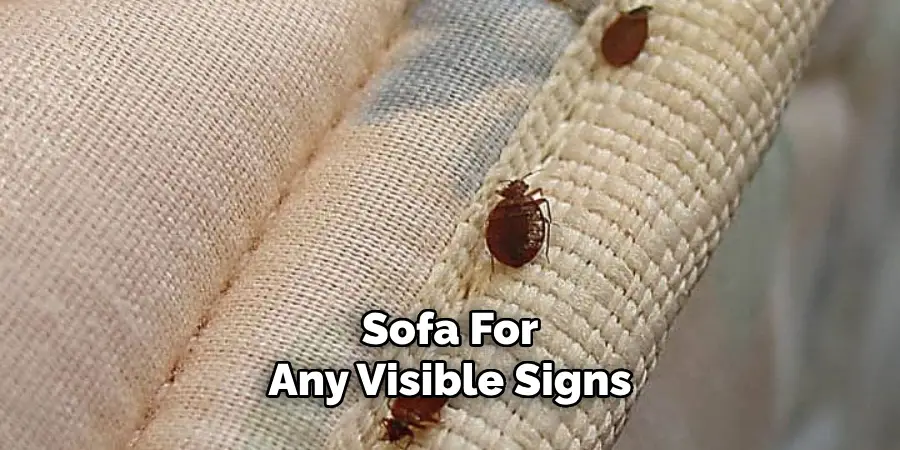 Sofa For Any Visible Signs