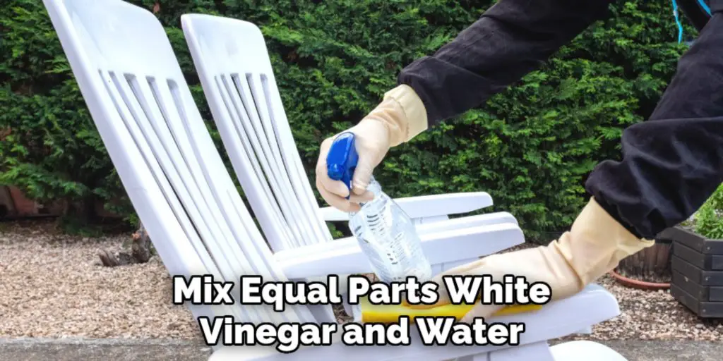 Mix Equal Parts White
Vinegar and Water
