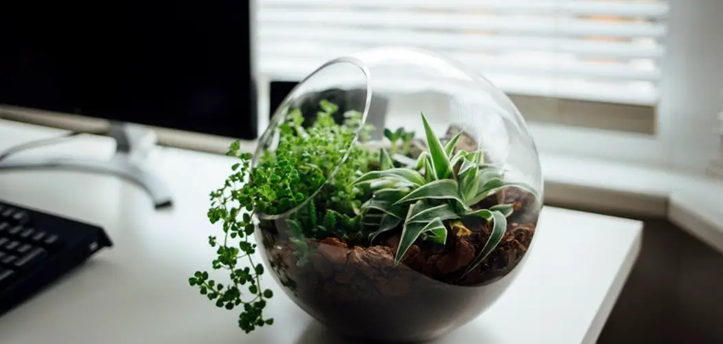 How to Use Leketree Desk Organizers
