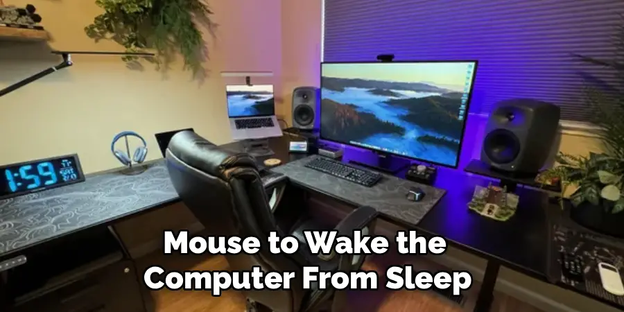 Mouse to Wake the
Computer From Sleep