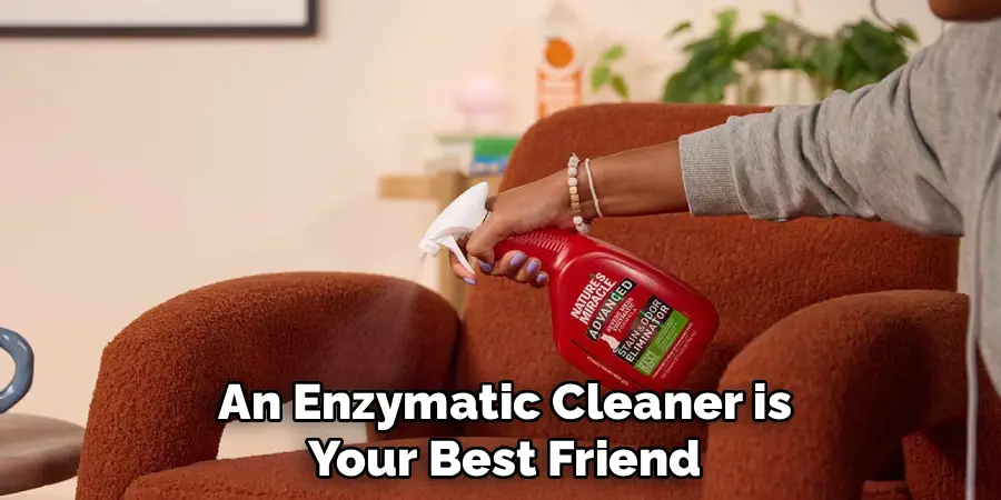 An Enzymatic Cleaner is Your Best Friend