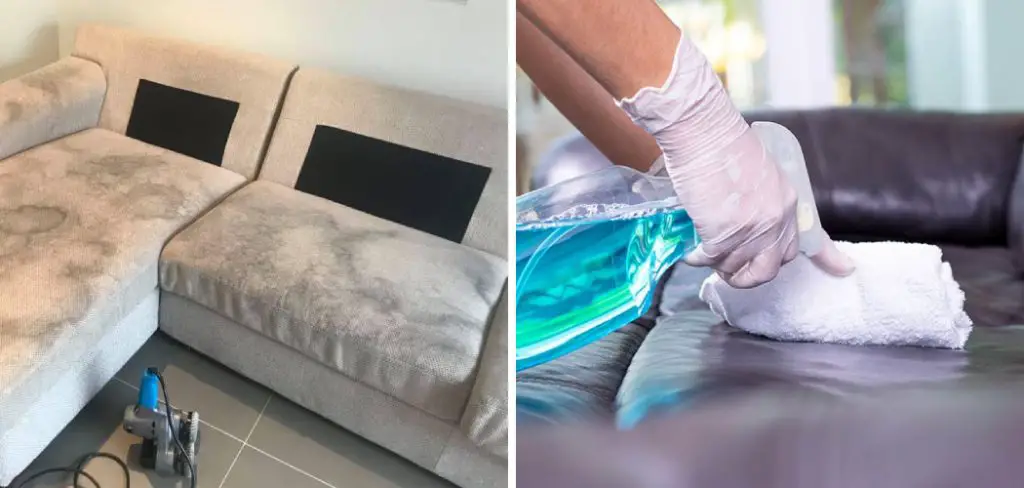 How to Get Rid of Pee Smell on Furniture