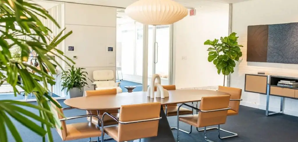 How to Install Indoor Plants in an Office