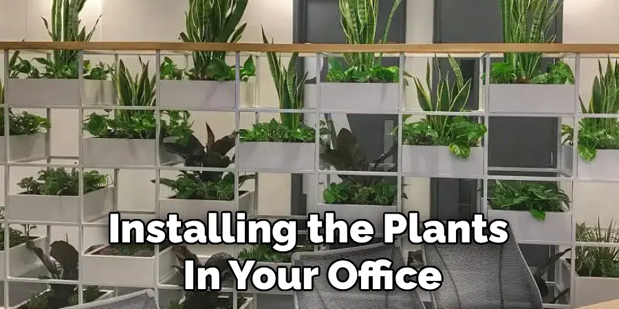 Installing the Plants 
In Your Office