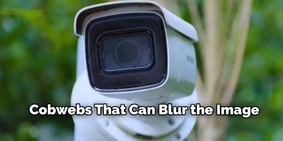 Cobwebs That Can Blur the Image