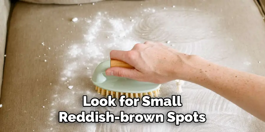 Look for Small
Reddish-brown Spots